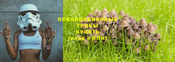а пвп мука Алексин