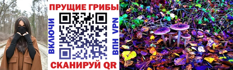 Галлюциногенные грибы GOLDEN TEACHER  Моздок 