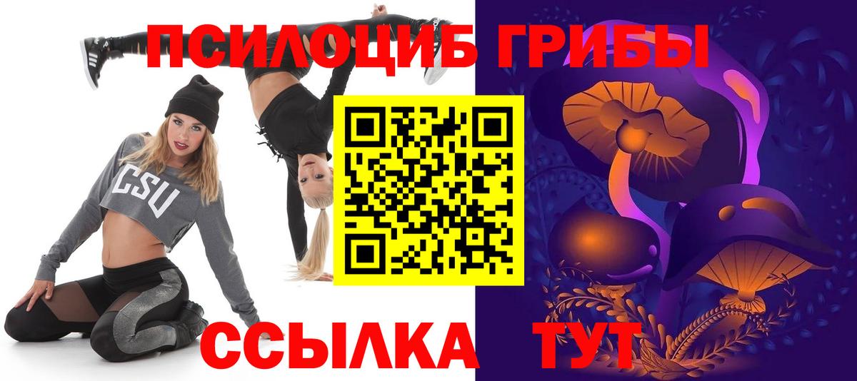 как найти закладки  Вход с VPN  Моздок  Псилоцибиновые грибы GOLDEN TEACHER 